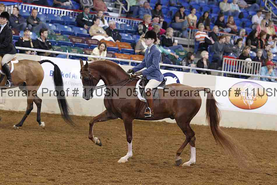 Proof 11usn_05787