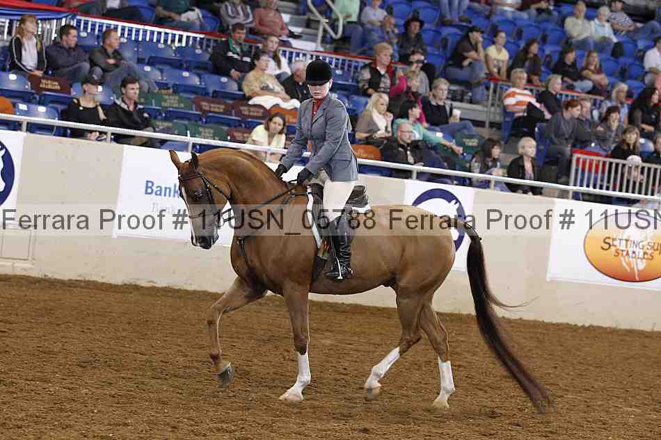 Proof 11usn_05788