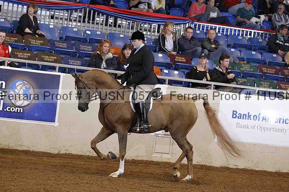 Proof 11usn_05791