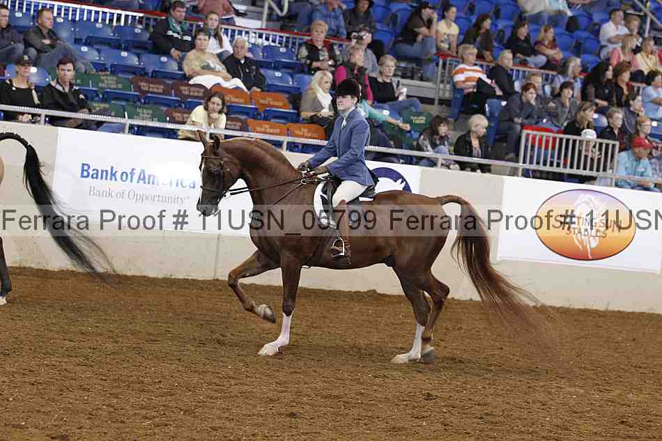 Proof 11usn_05799