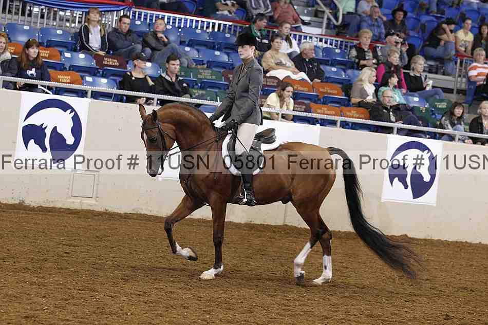 Proof 11usn_05801