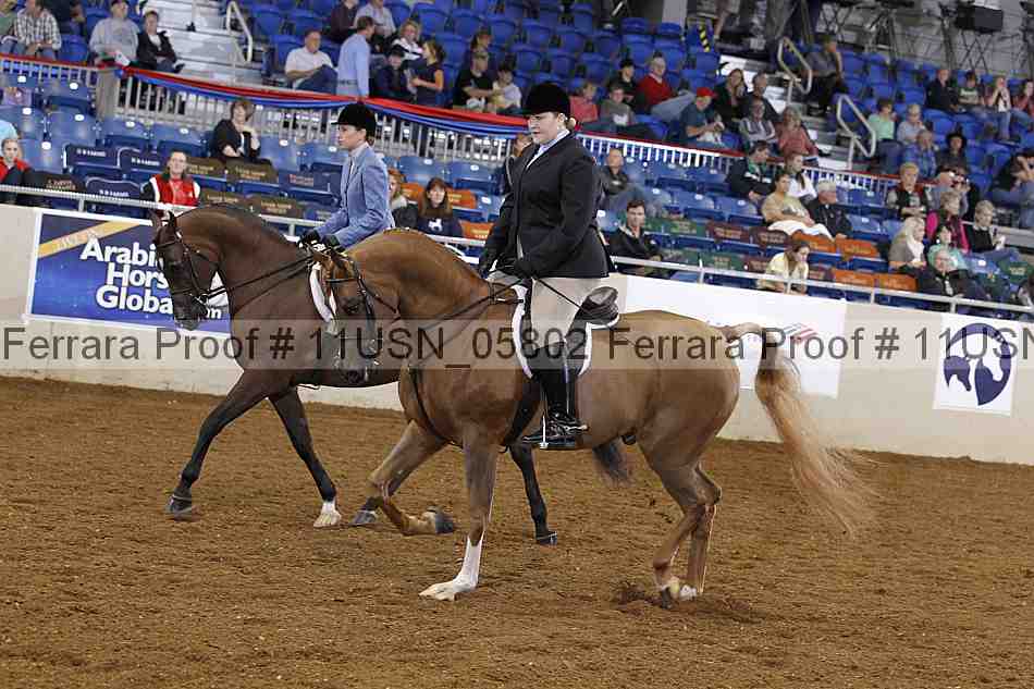 Proof 11usn_05802