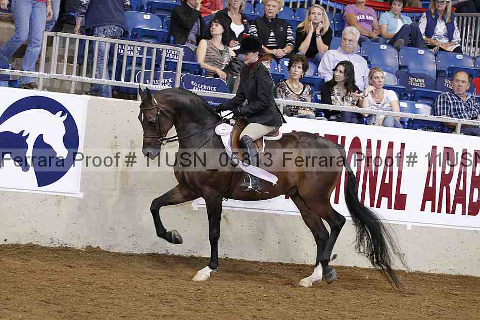 Proof 11usn_05813