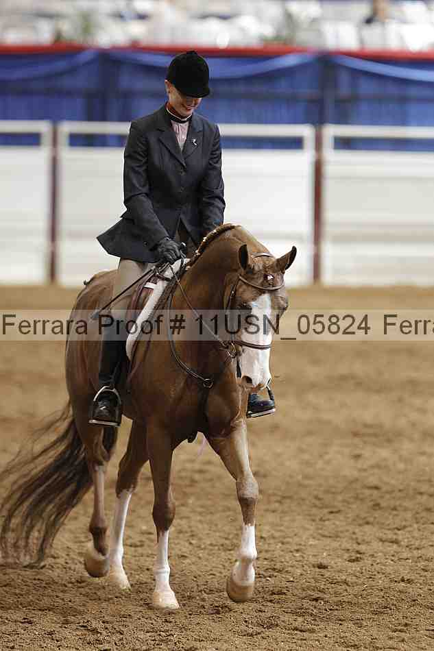 Proof 11usn_05824