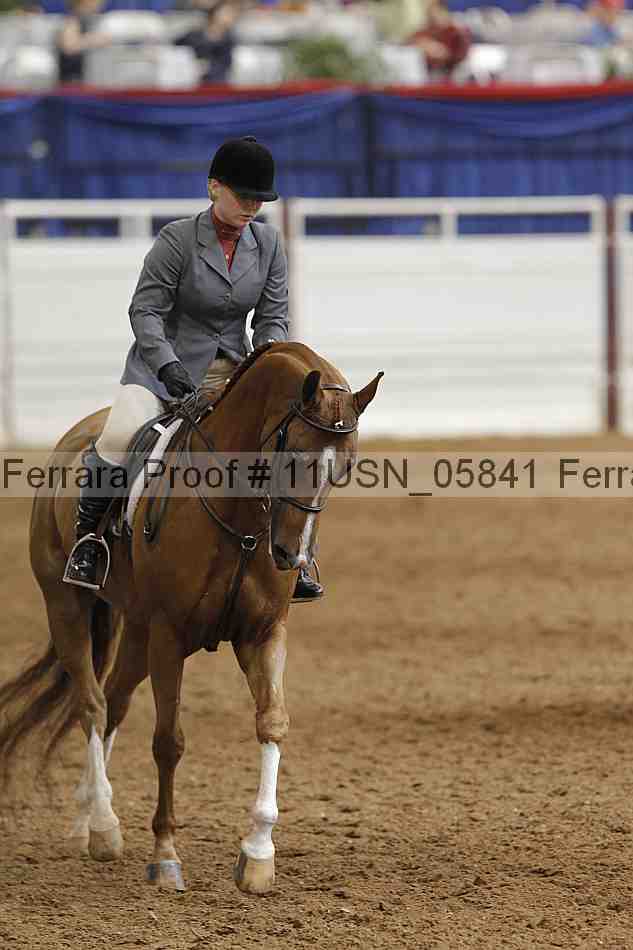 Proof 11usn_05841