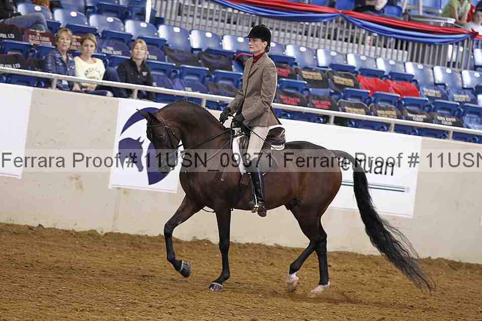 Proof 11usn_09371