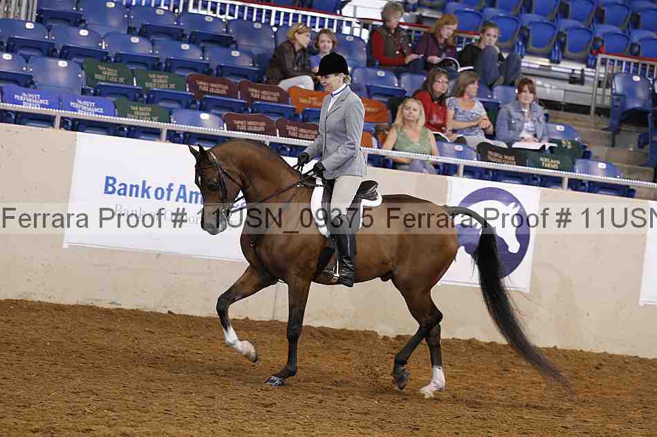Proof 11usn_09375
