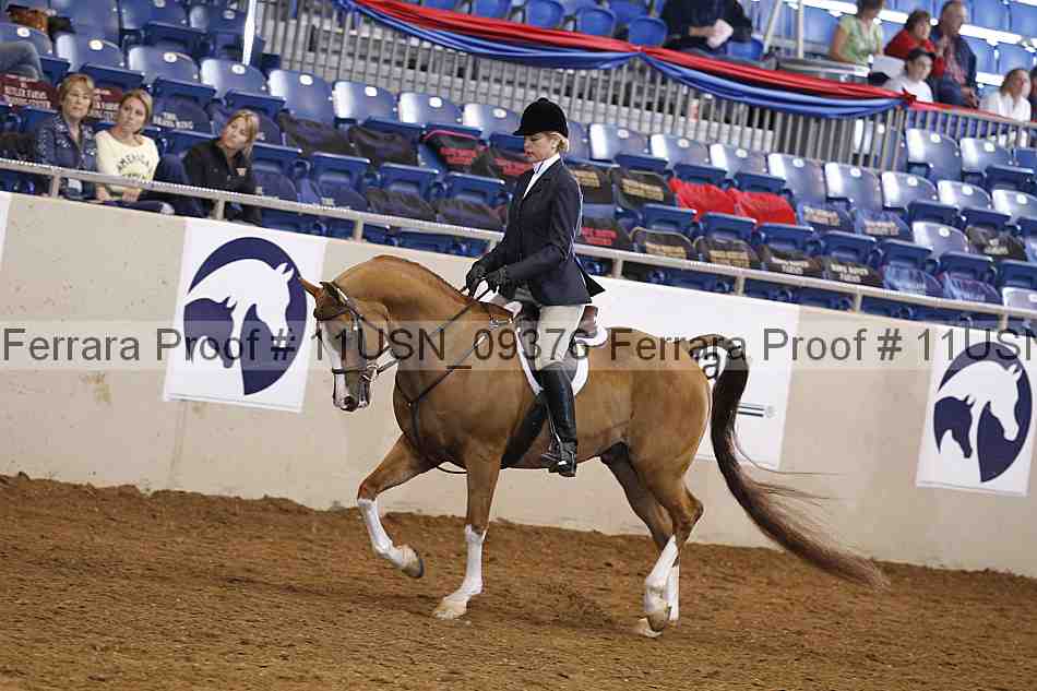 Proof 11usn_09376