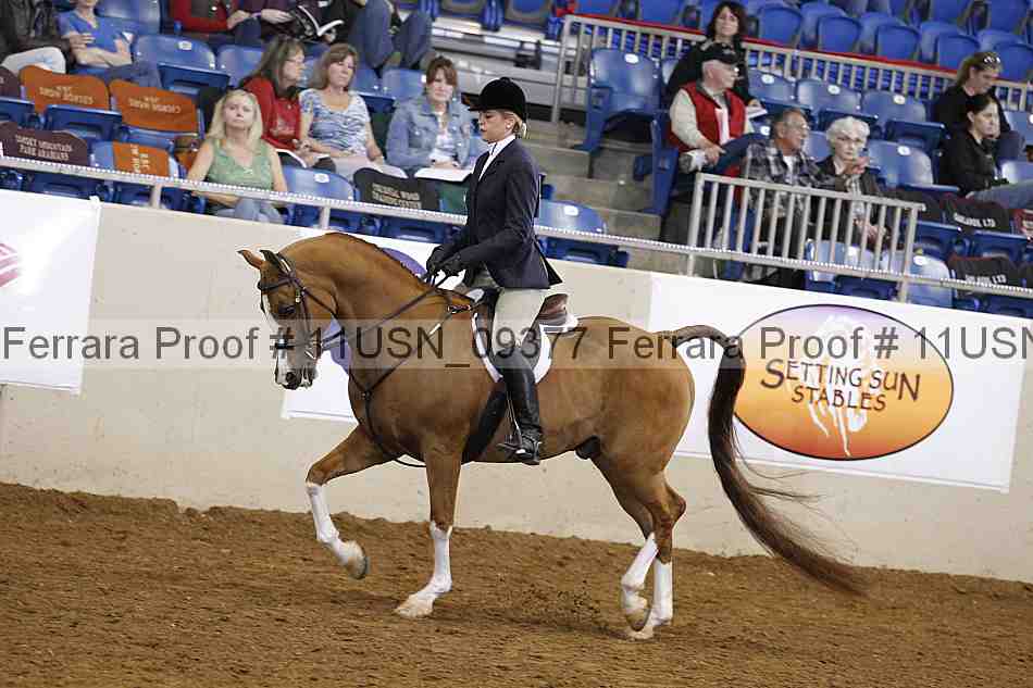 Proof 11usn_09377