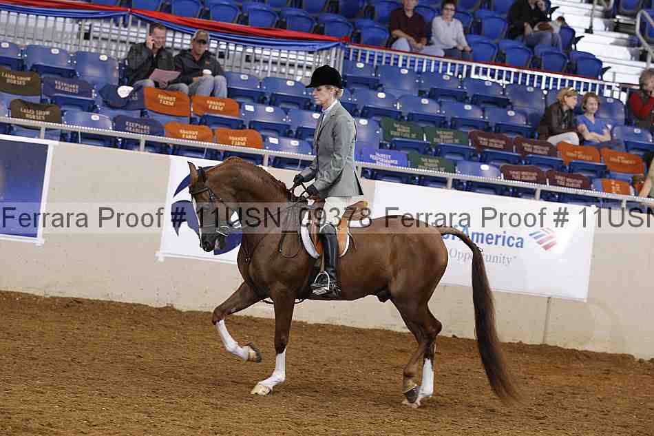 Proof 11usn_09378
