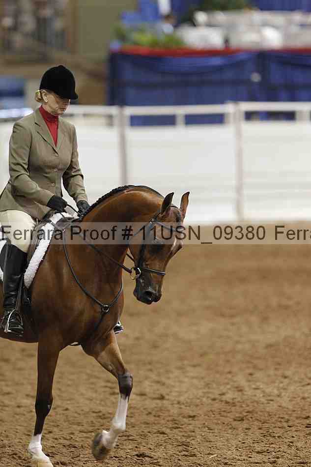 Proof 11usn_09380