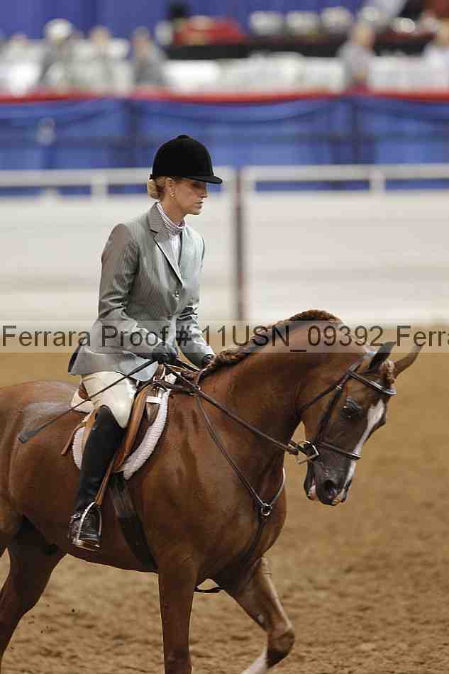 Proof 11usn_09392