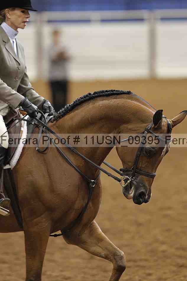 Proof 11usn_09395