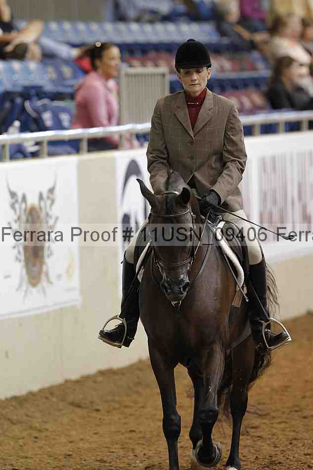 Proof 11usn_09406