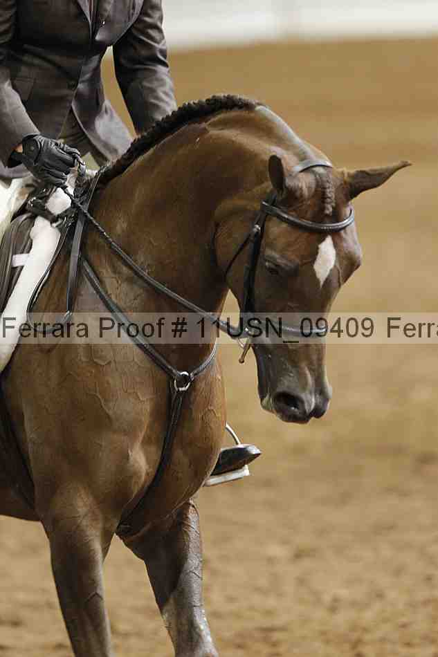 Proof 11usn_09409