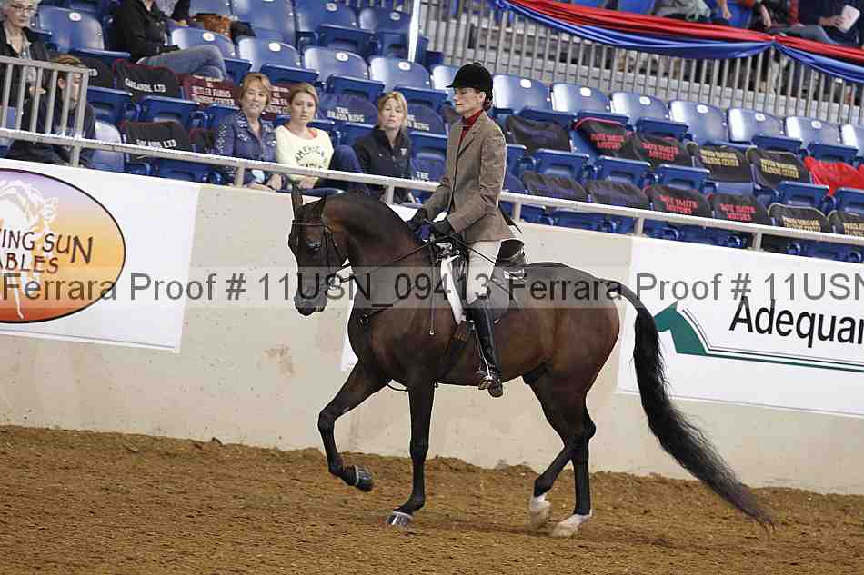 Proof 11usn_09413