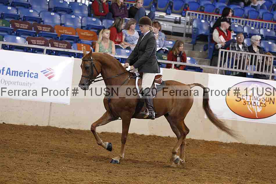 Proof 11usn_09420