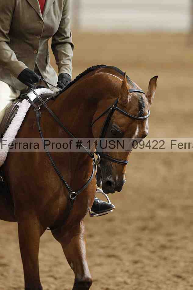 Proof 11usn_09422