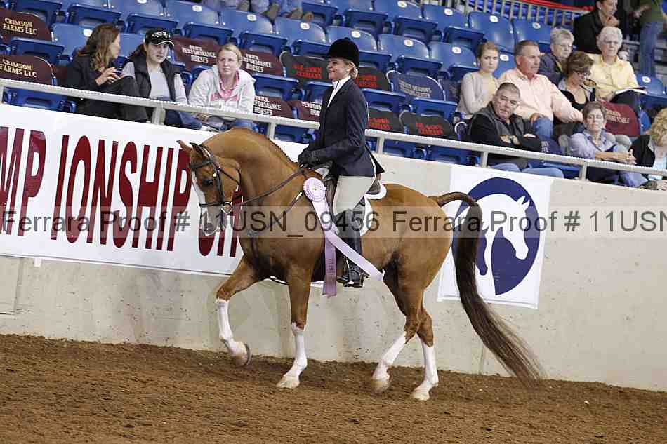 Proof 11usn_09456