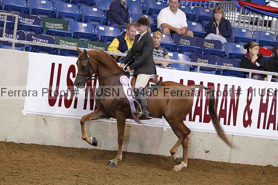 Proof 11usn_09460