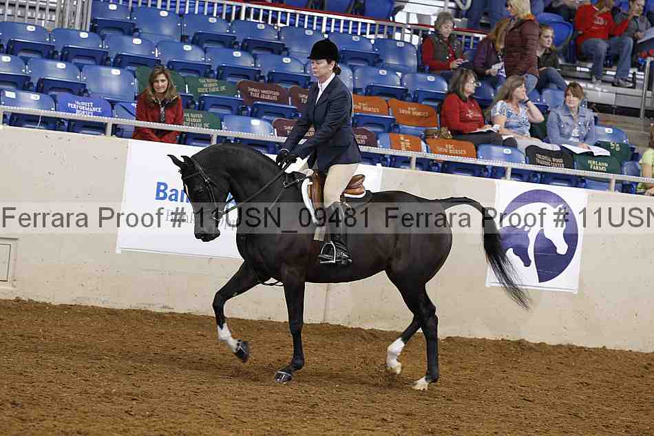 Proof 11usn_09481