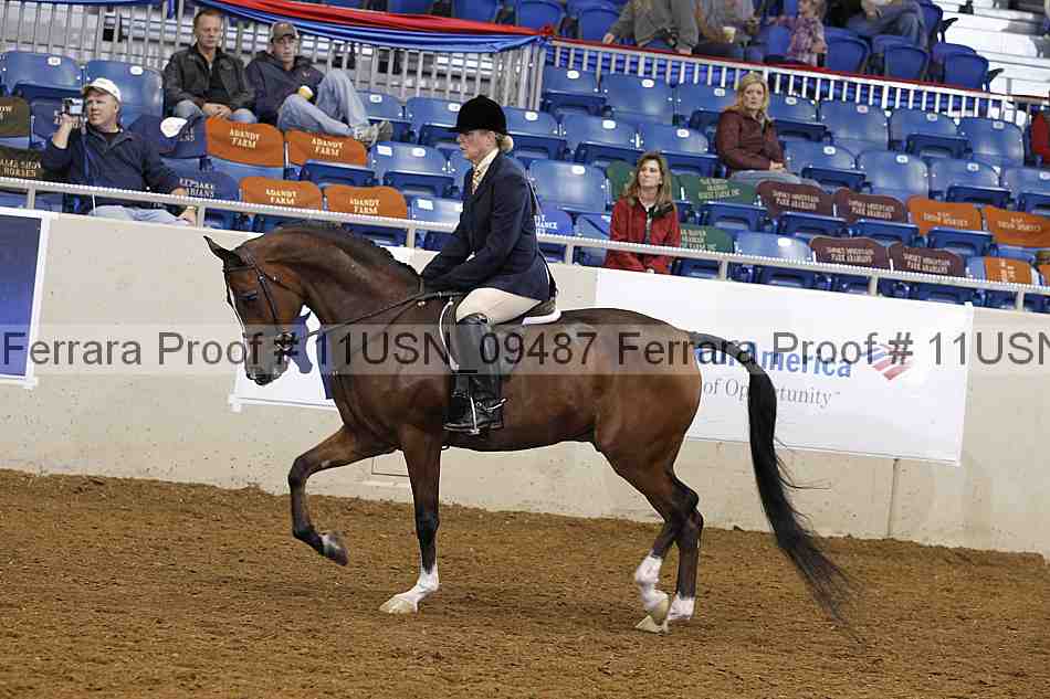 Proof 11usn_09487