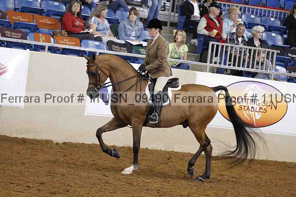 Proof 11usn_09490