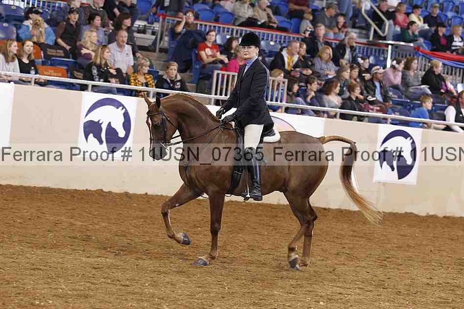 Proof 11usn_07365