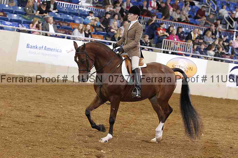 Proof 11usn_07371