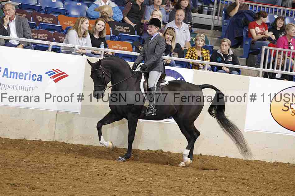 Proof 11usn_07377
