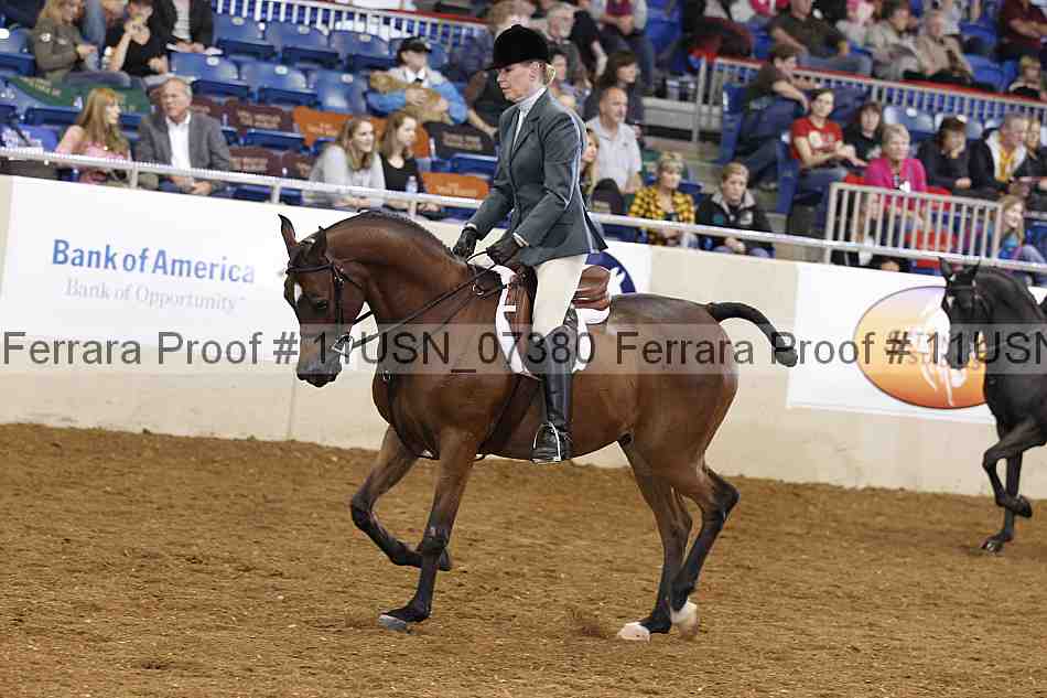 Proof 11usn_07380