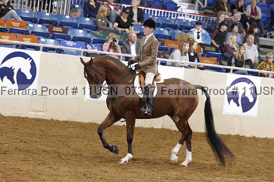 Proof 11usn_07387