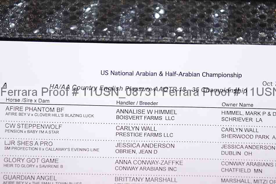Proof 11usn_08731