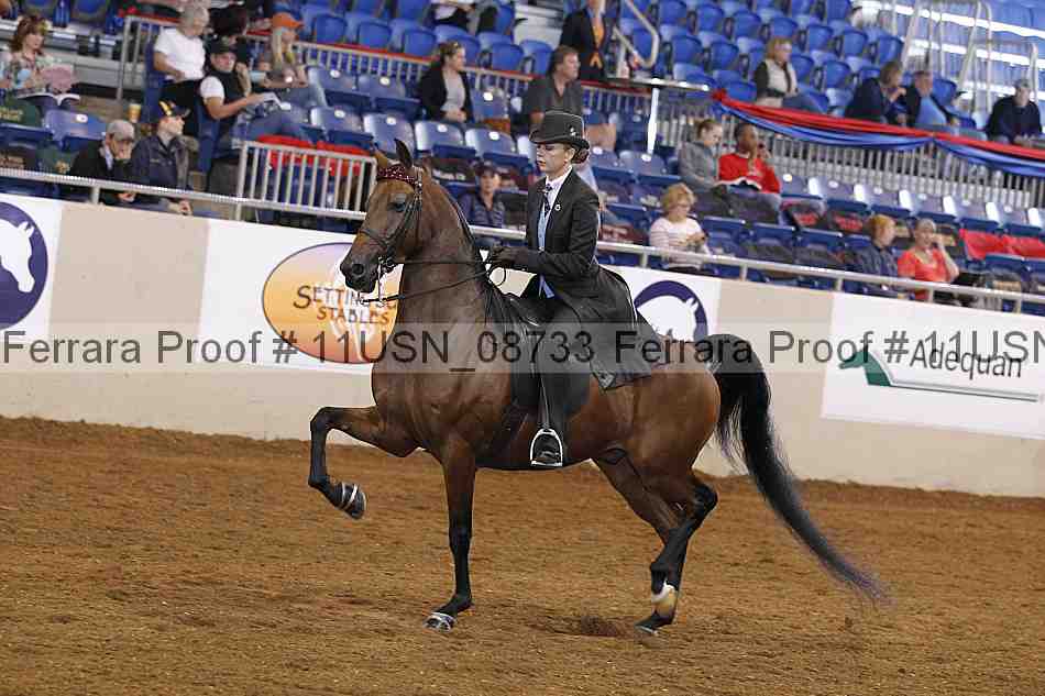 Proof 11usn_08733