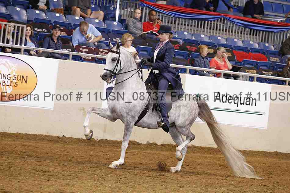 Proof 11usn_08737