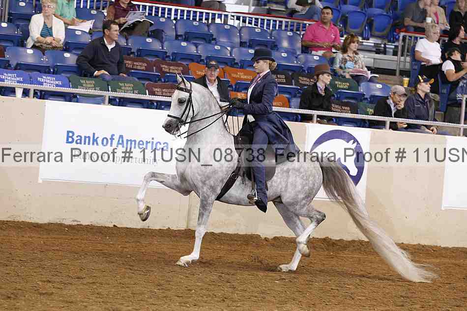 Proof 11usn_08738