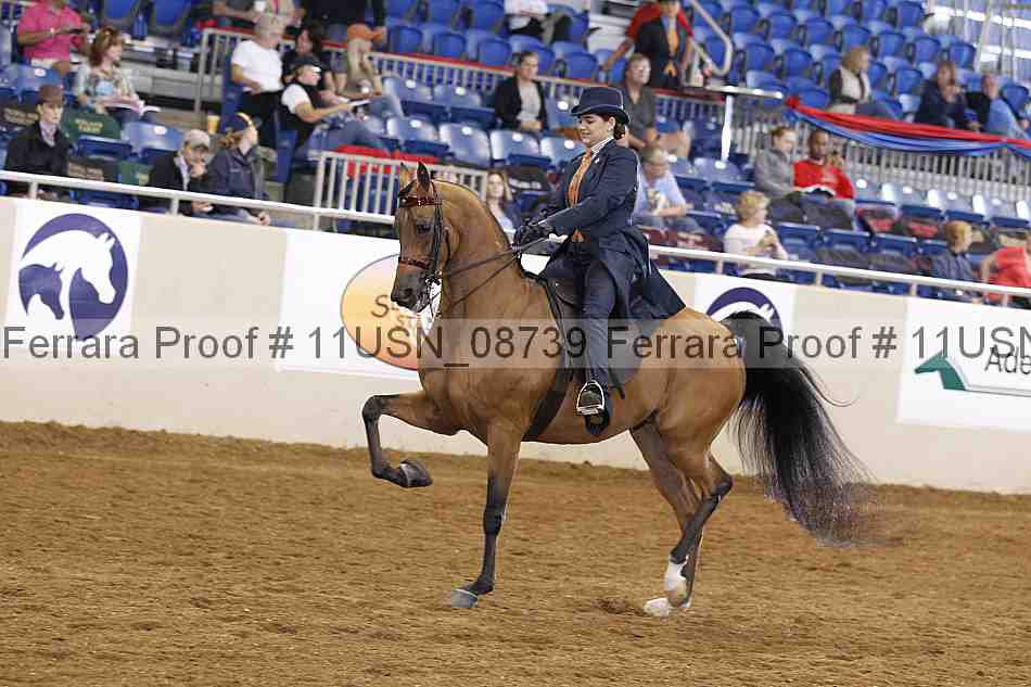 Proof 11usn_08739