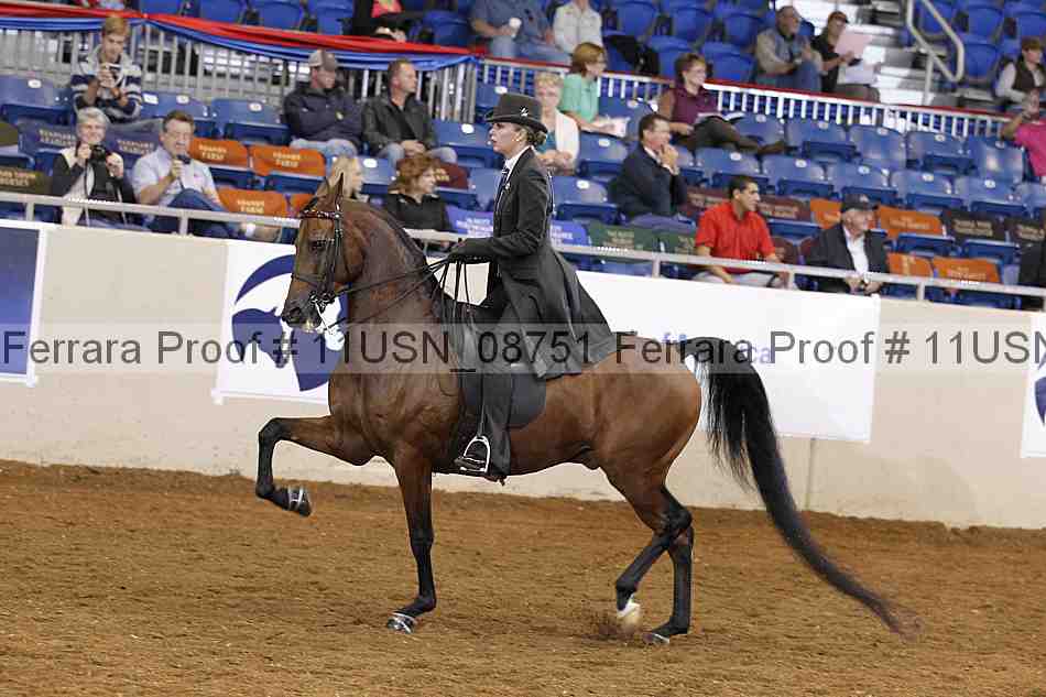 Proof 11usn_08751
