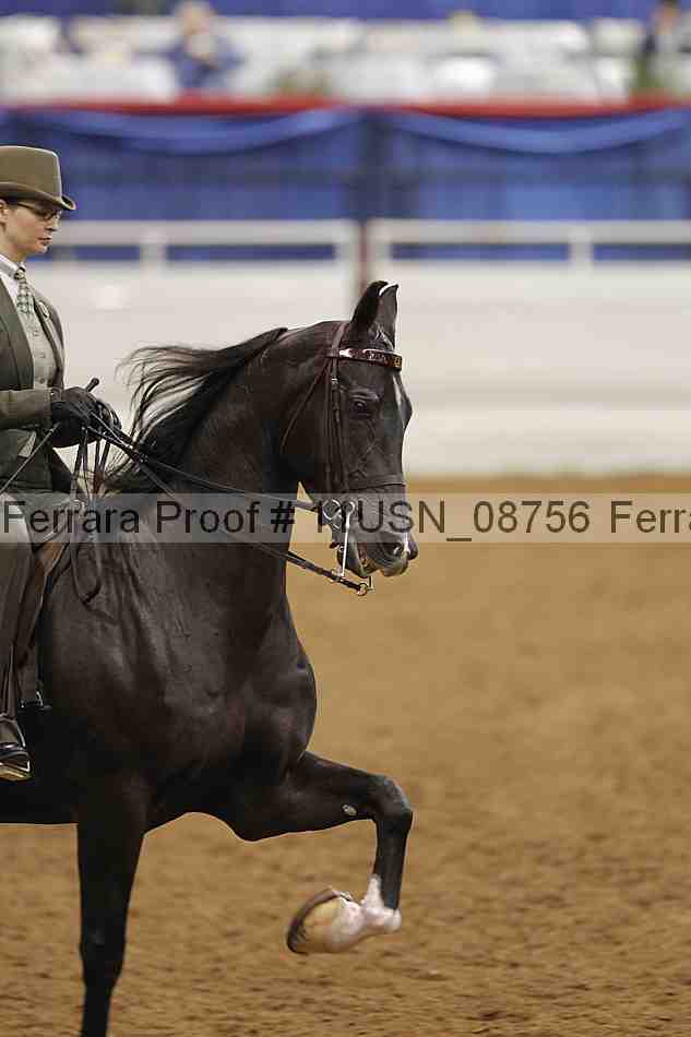 Proof 11usn_08756