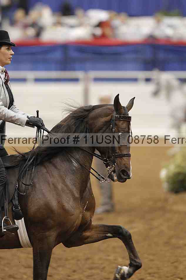 Proof 11usn_08758