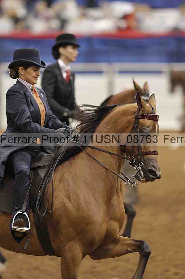 Proof 11usn_08763