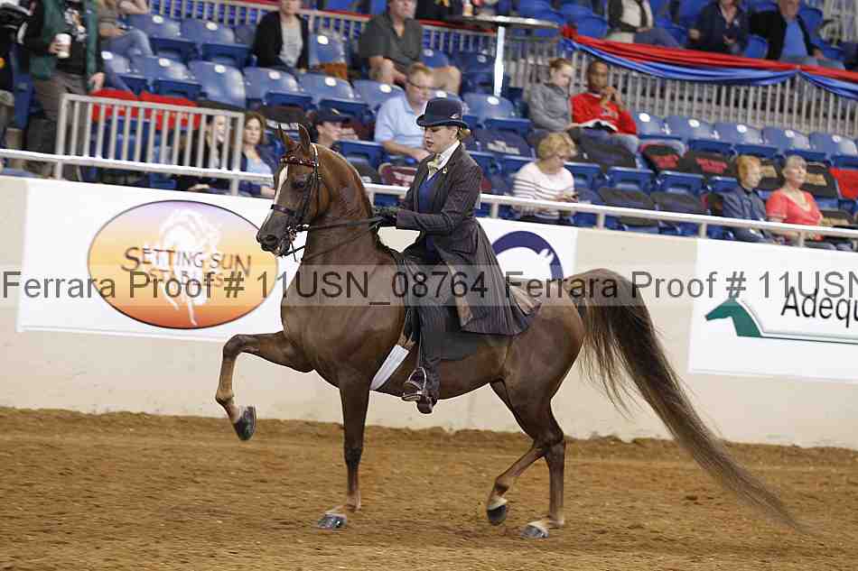 Proof 11usn_08764