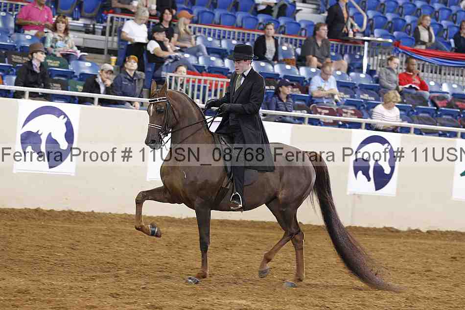 Proof 11usn_08768