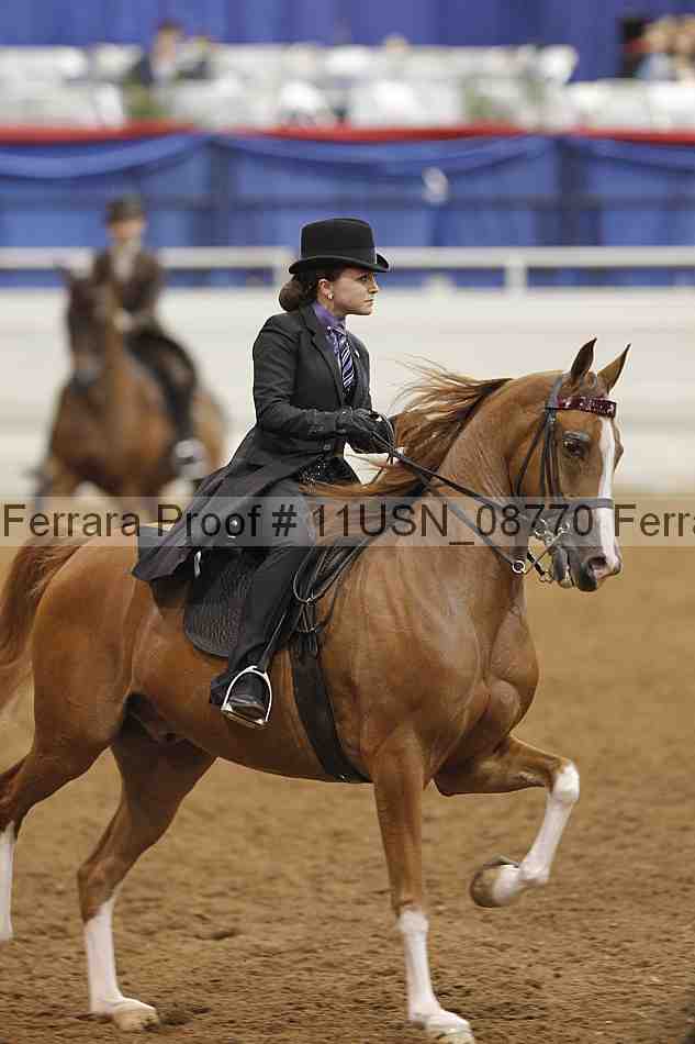 Proof 11usn_08770