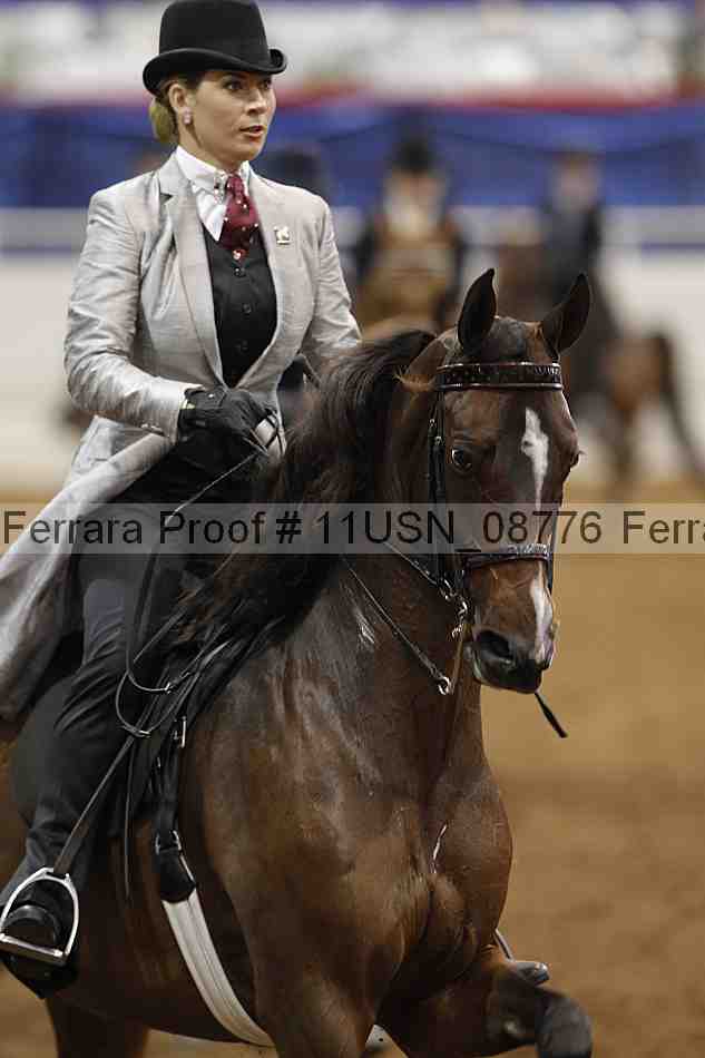 Proof 11usn_08776