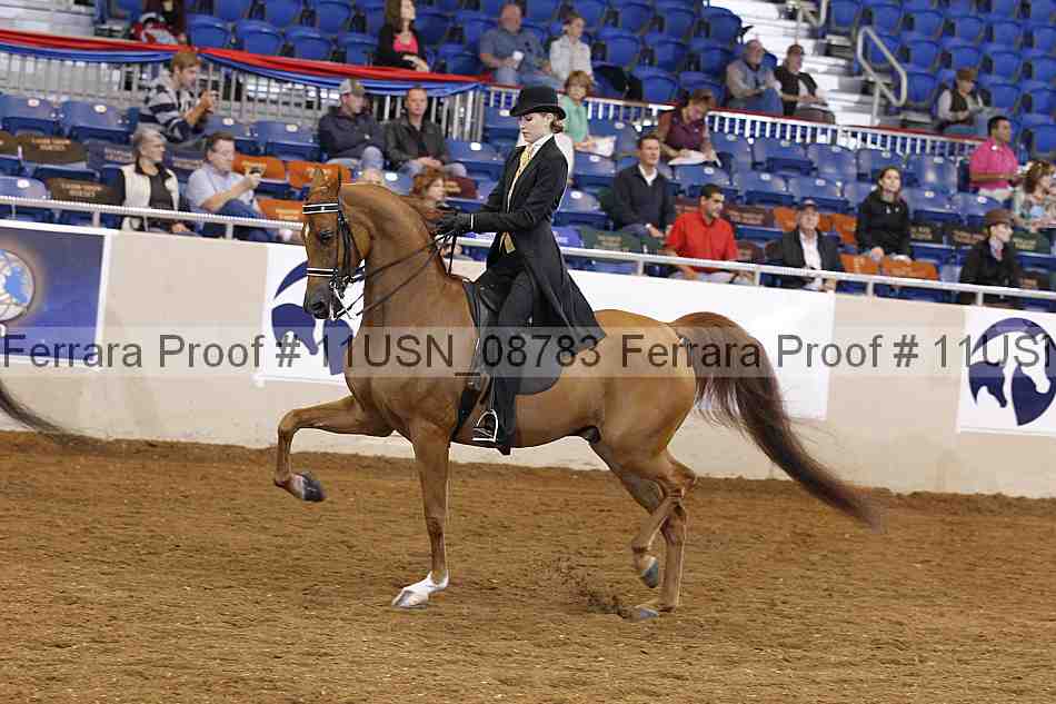 Proof 11usn_08783