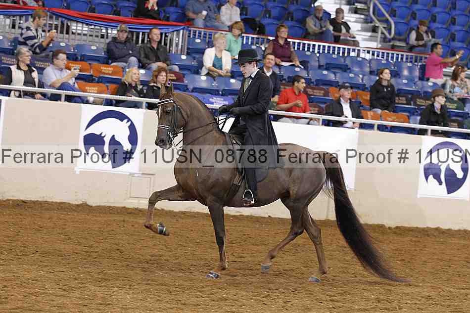 Proof 11usn_08788