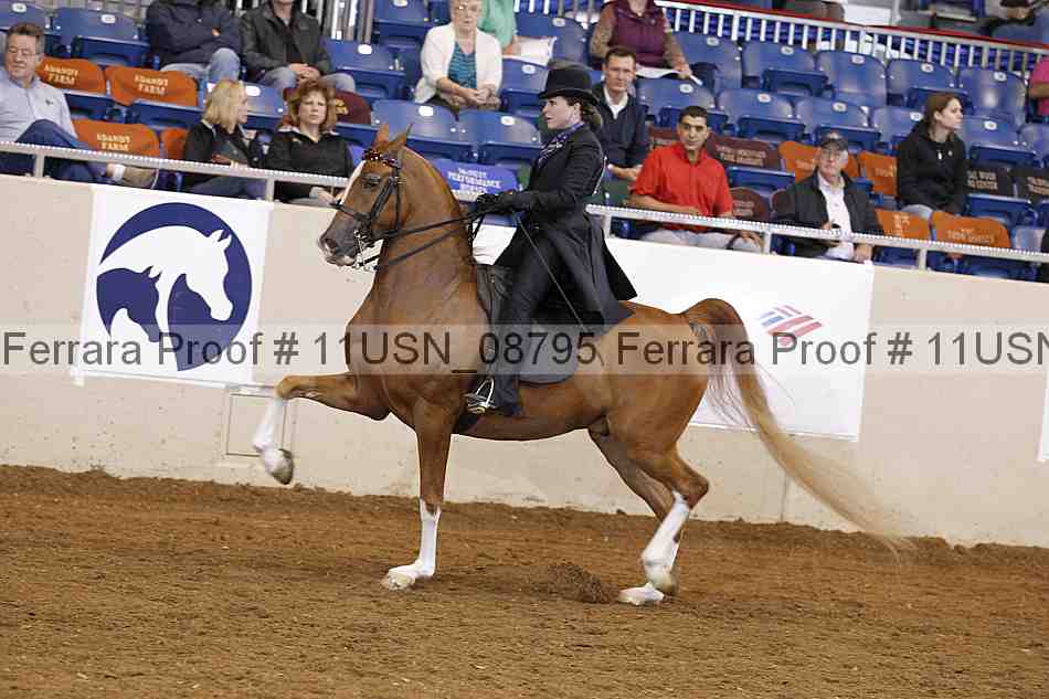 Proof 11usn_08795