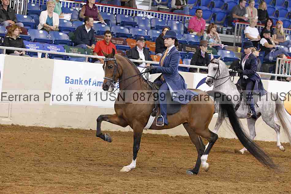 Proof 11usn_08799