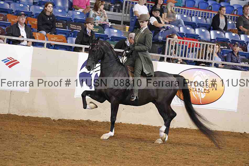 Proof 11usn_08810